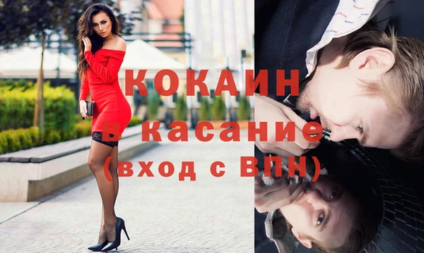 трава Сатка